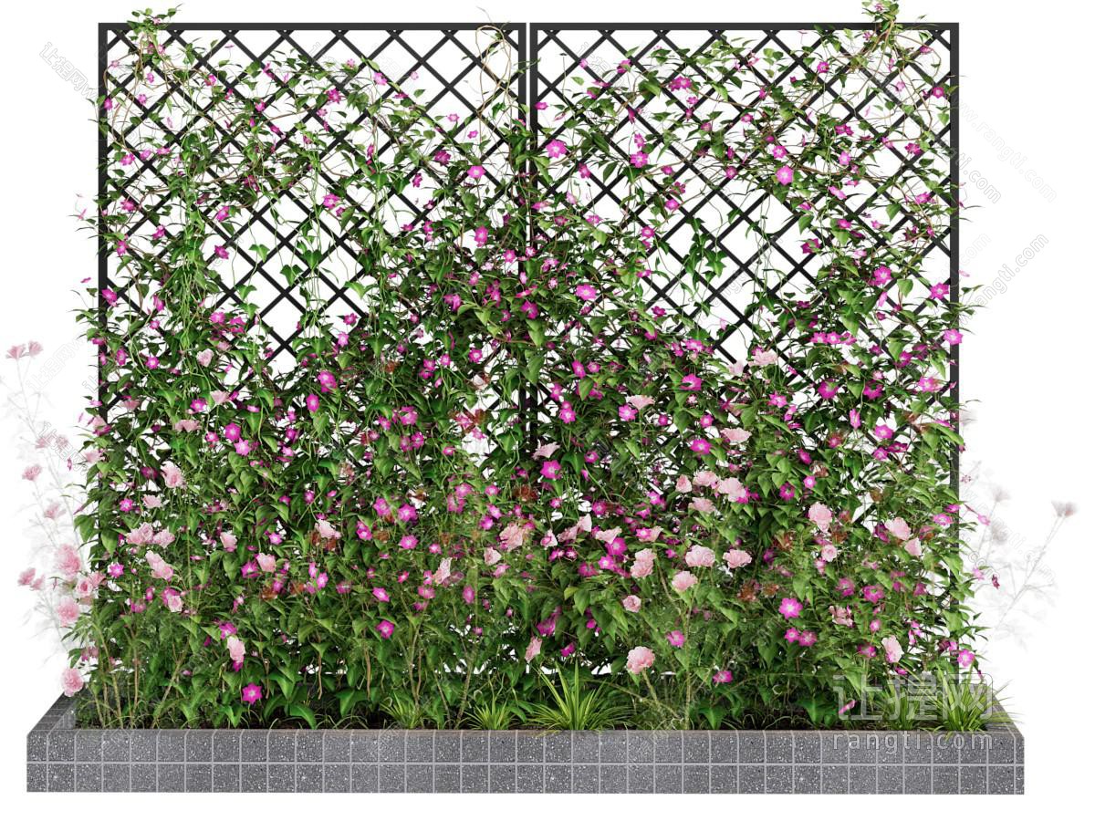 现代花池藤蔓植物 植物墙 花草花卉植物景观园艺小品