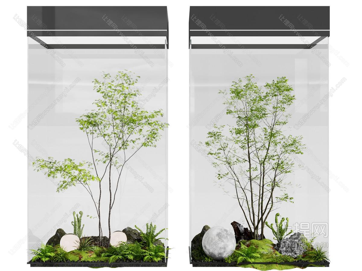 现代玻璃罩 花草 石头 植物 室内景观园艺小品