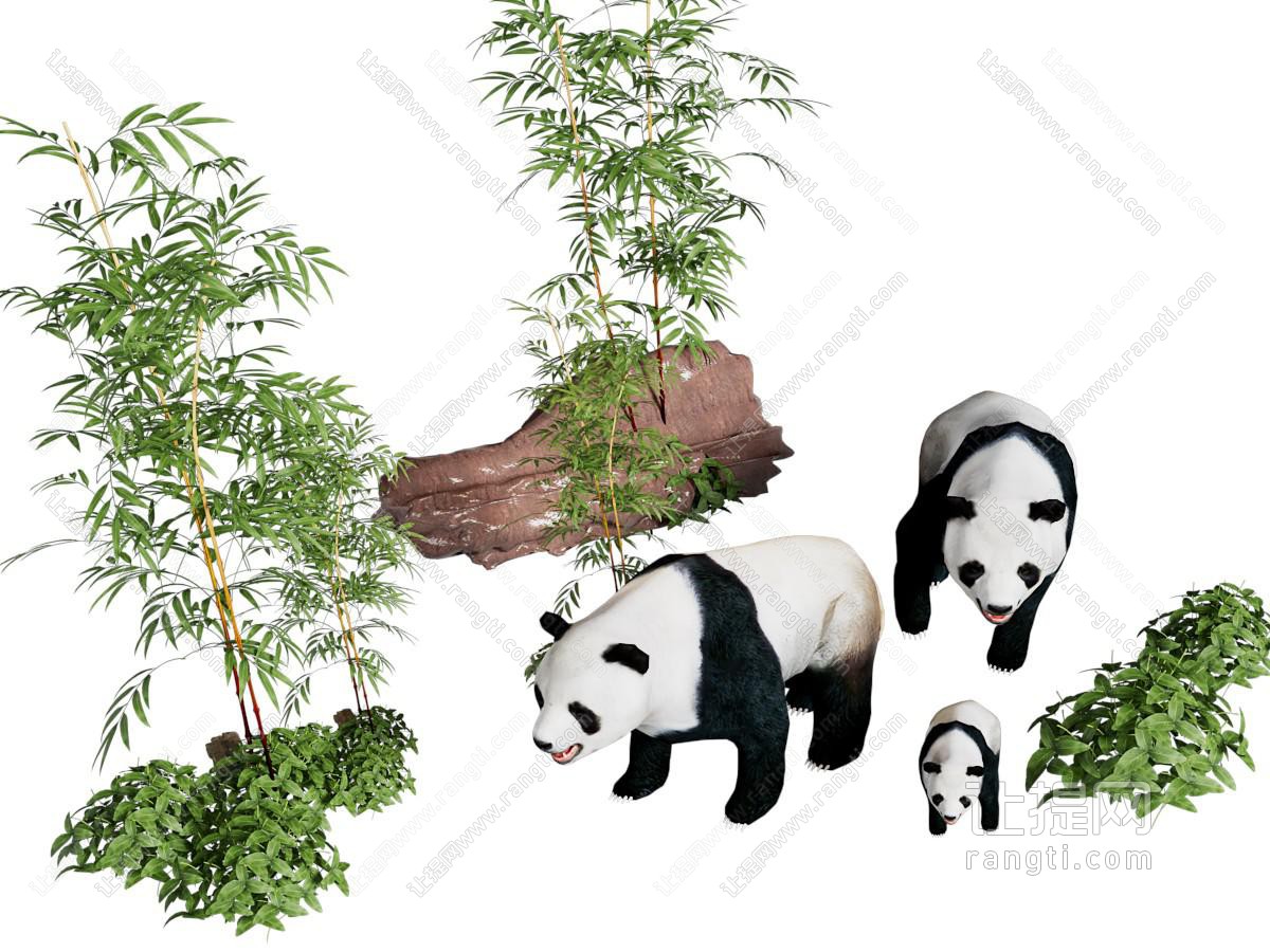 现代国宝熊猫动物园 竹子