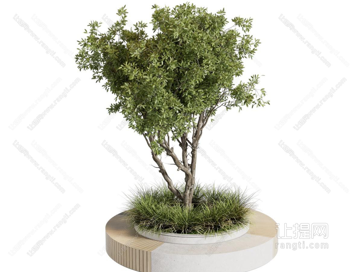 现代花池 景观凳子树木