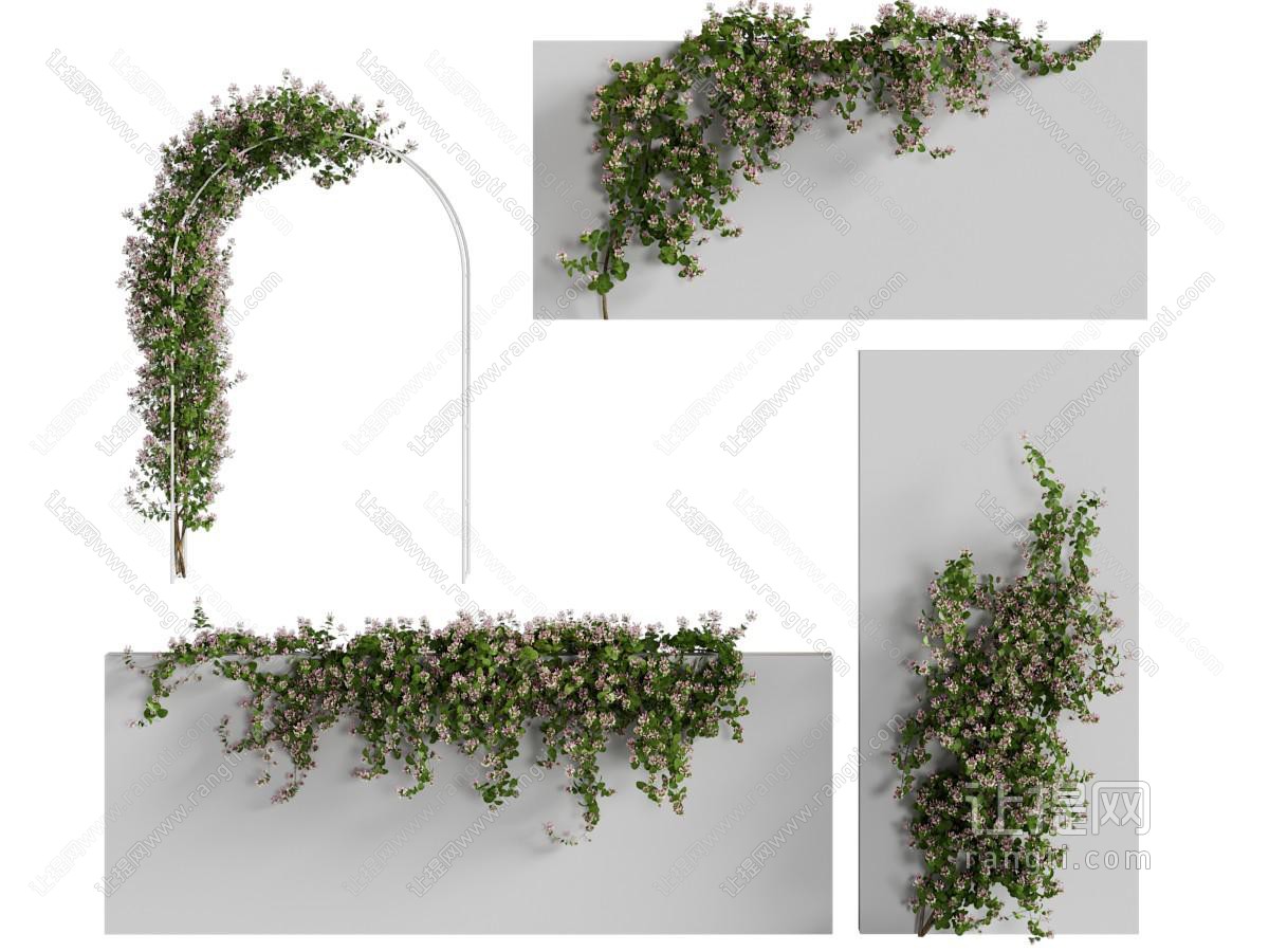 现代藤蔓植物 植物墙