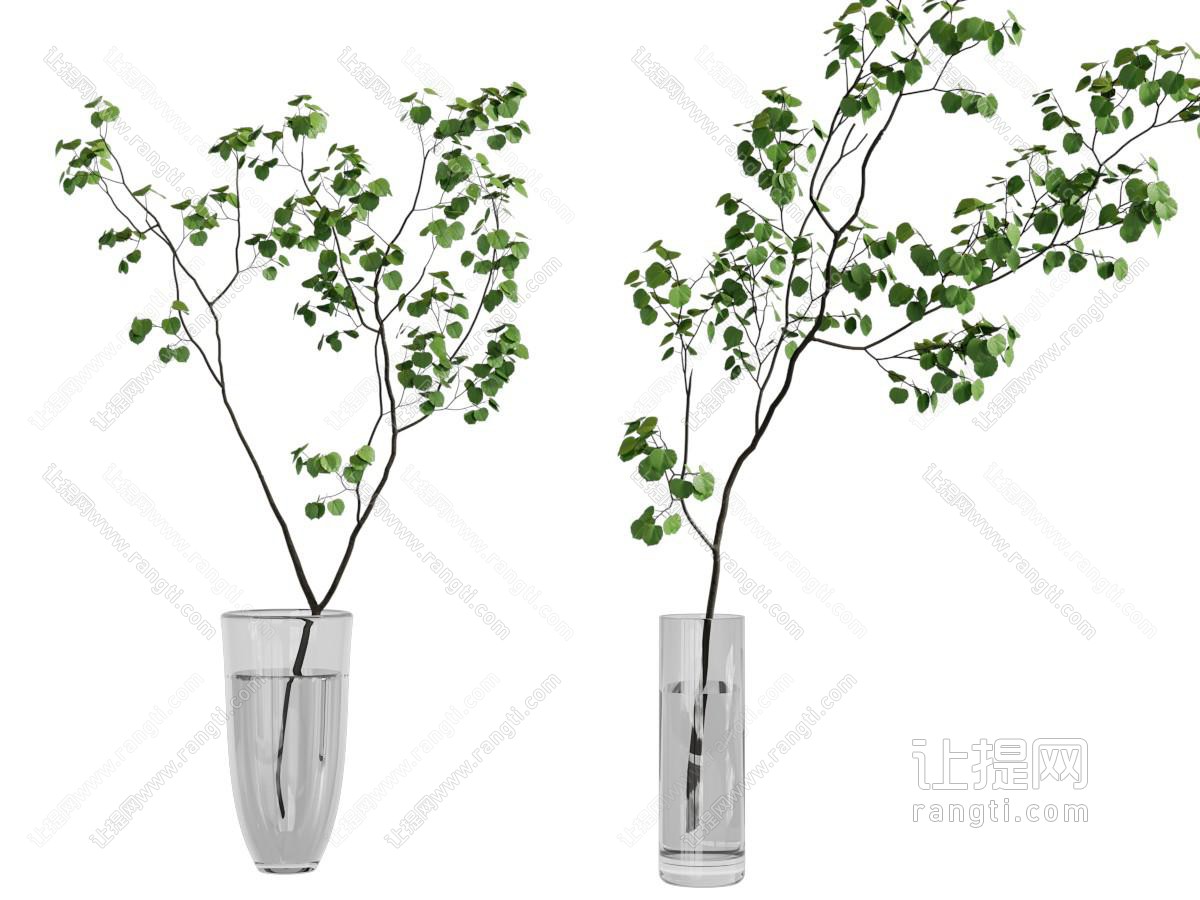 现代花瓶花卉
