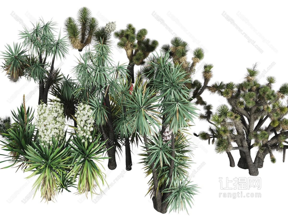 现代景观树木 花树