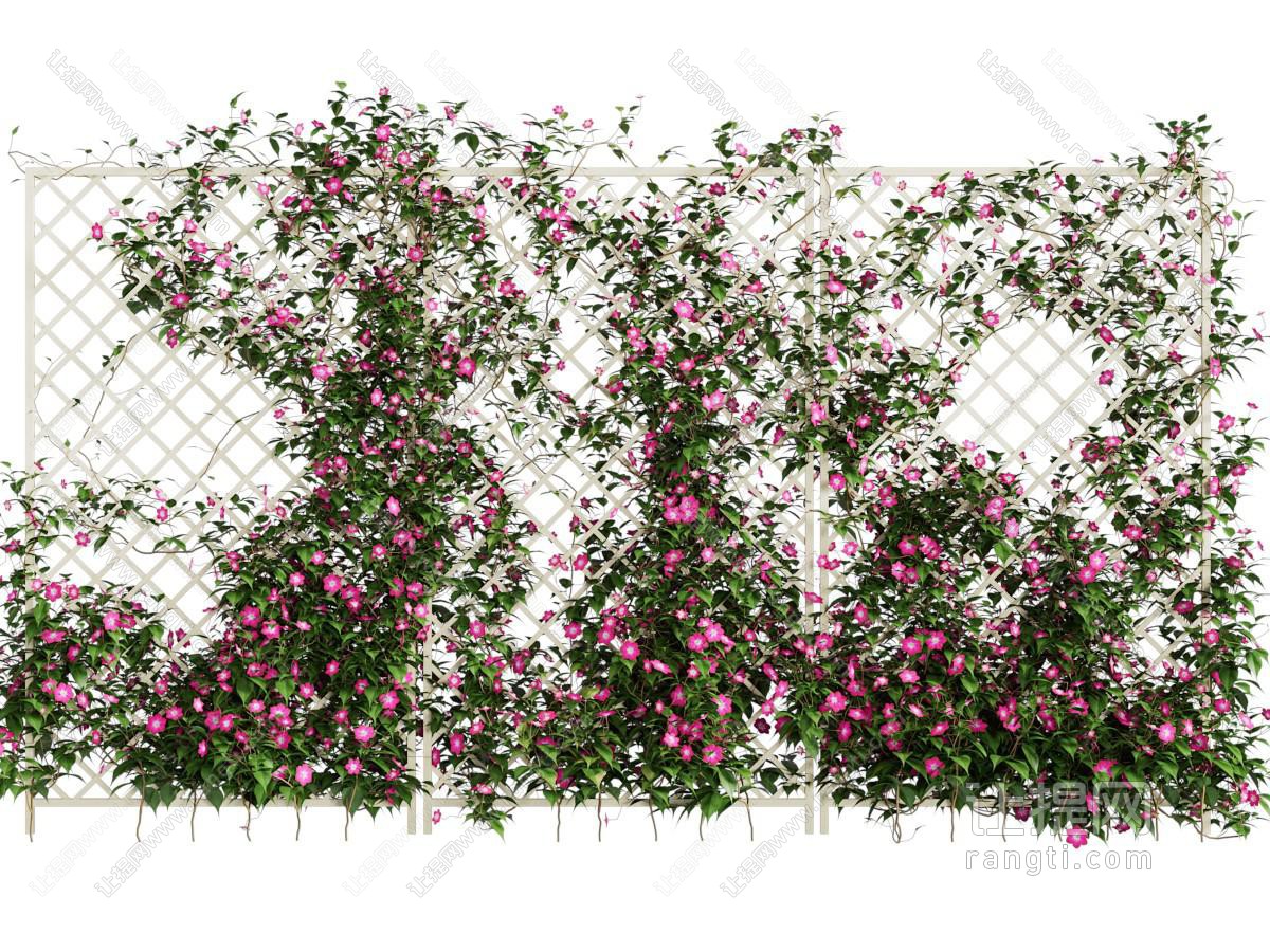 现代藤蔓花卉植物墙