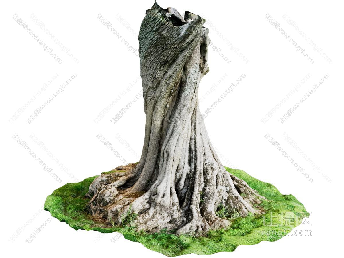现代枯树桩 老树