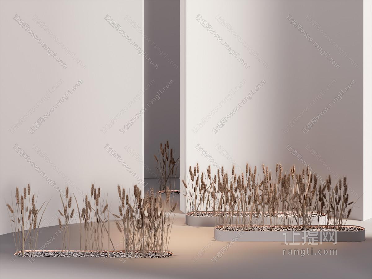 现代室内花坛麦子 麦穗植物景观园艺小品