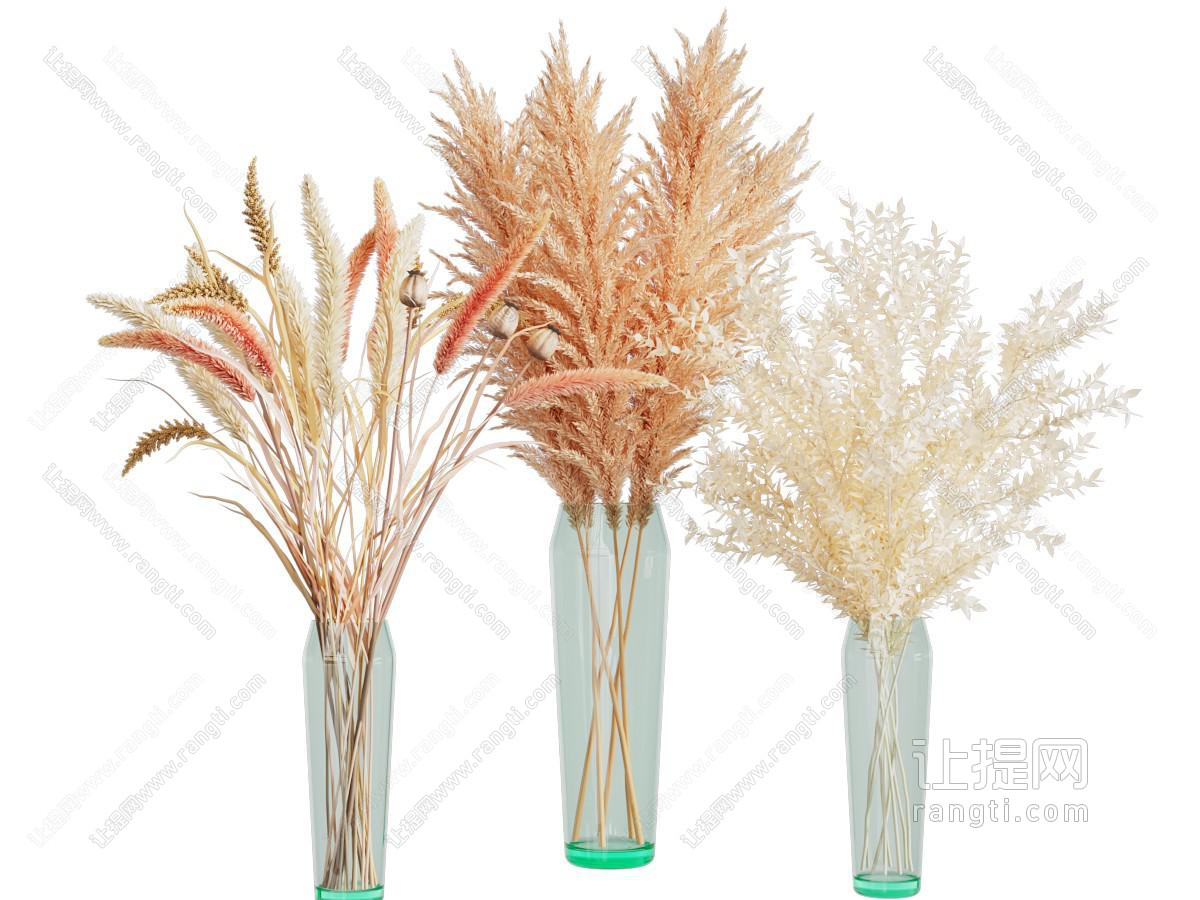 现代玻璃花瓶芦苇花