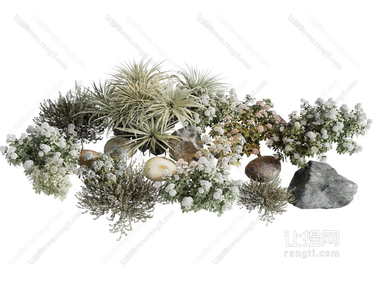 现代石头 花卉花草植物