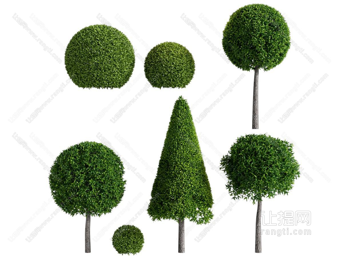 现代景观树木 灌木植物丛