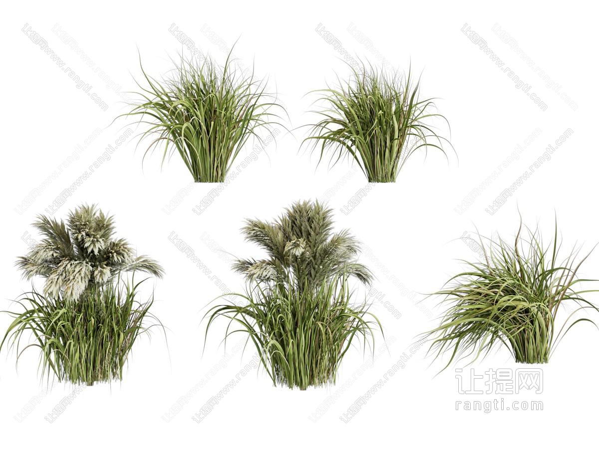 现代花草植物