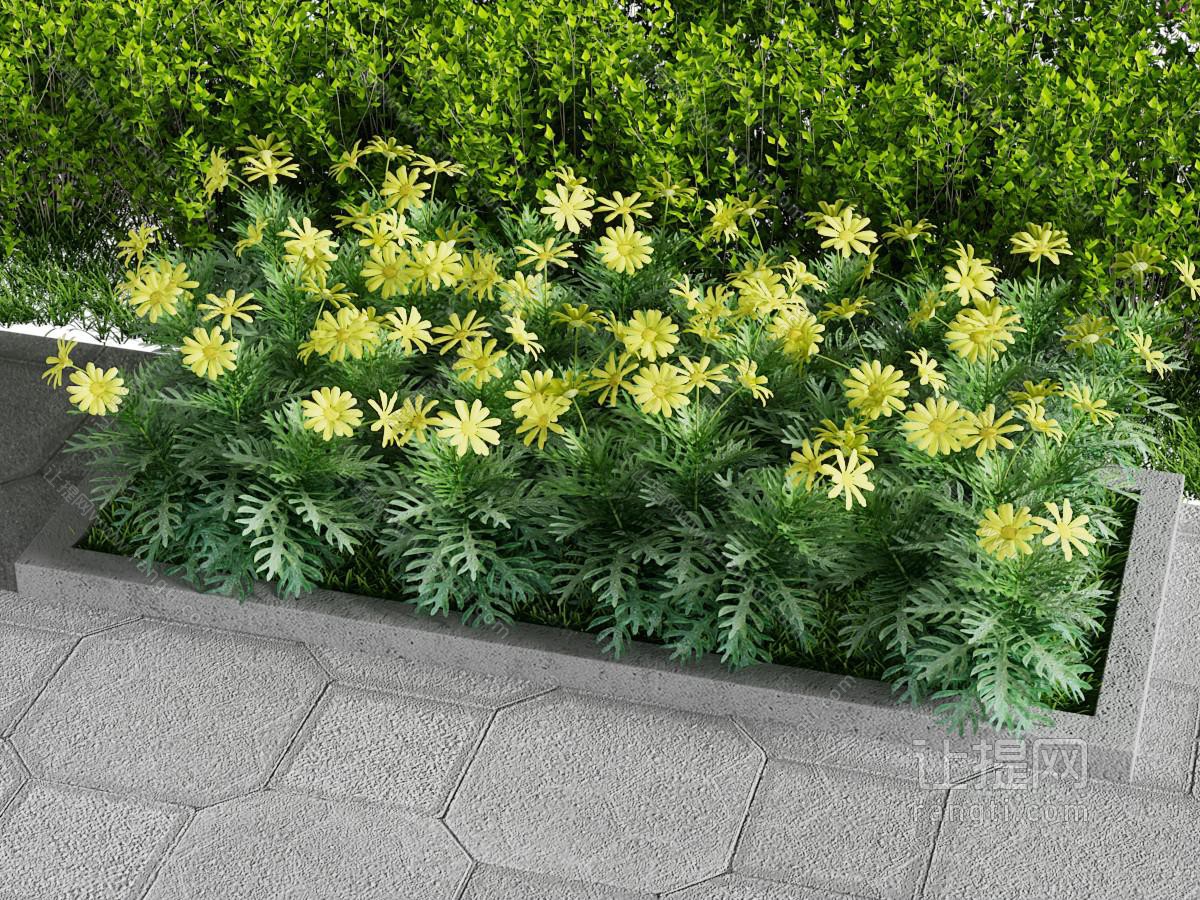 现代花坛花卉景观园艺小品