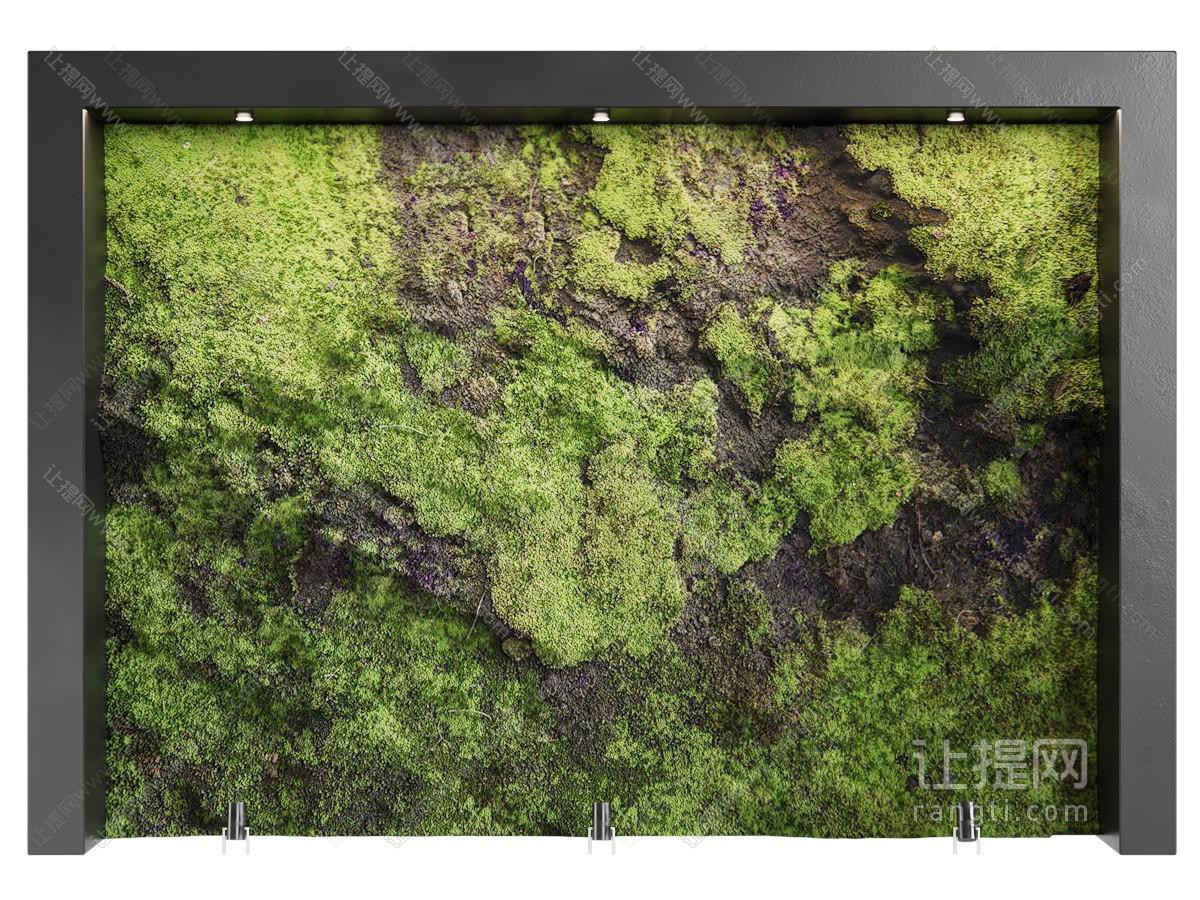 现代苔藓植物背景墙
