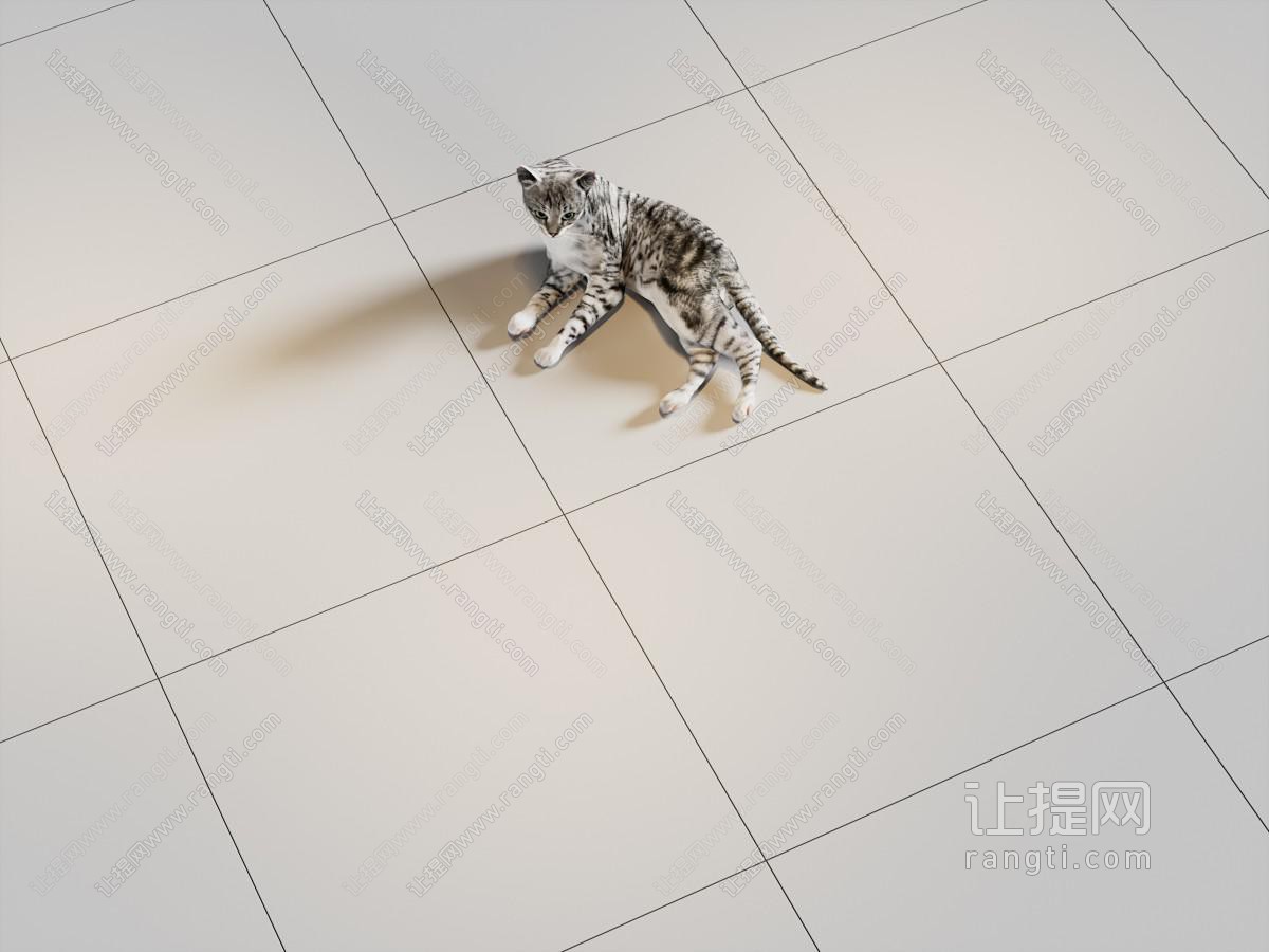 现代瓷砖 地面拼花