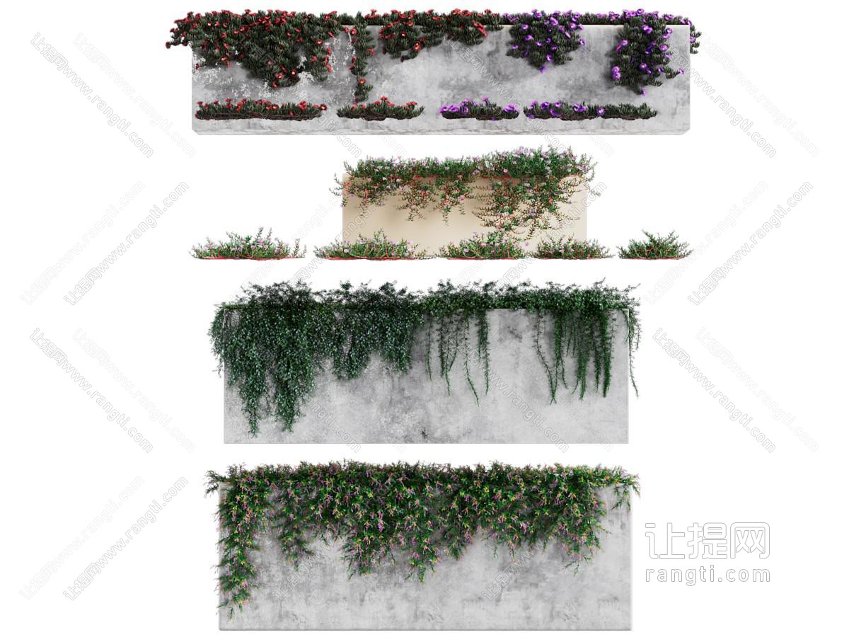现代藤蔓植物墙 花墙