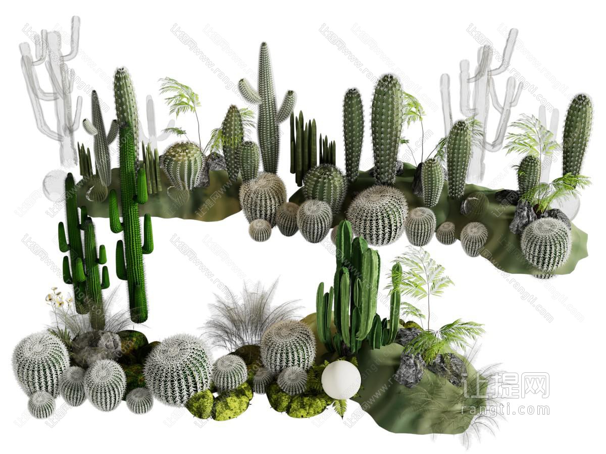 现代多肉植物 苔藓 石头景观园艺小品