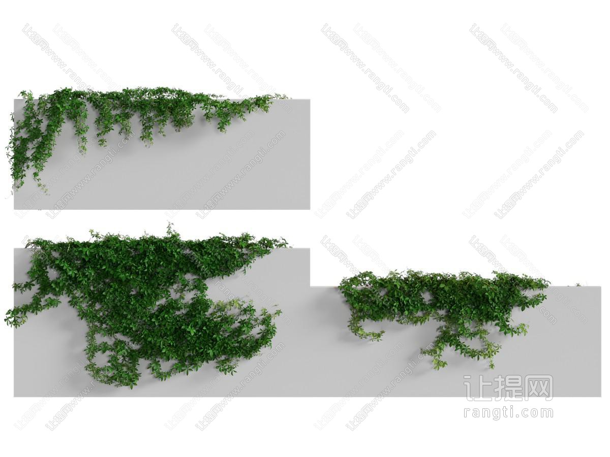 现代藤蔓植物 植物墙