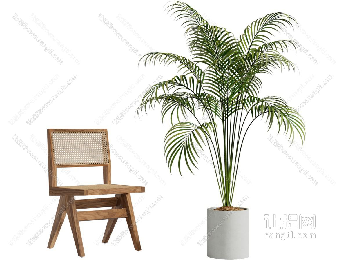 现代休闲椅子 植物盆栽