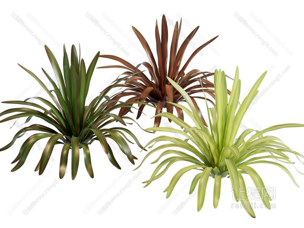 现代花草植物