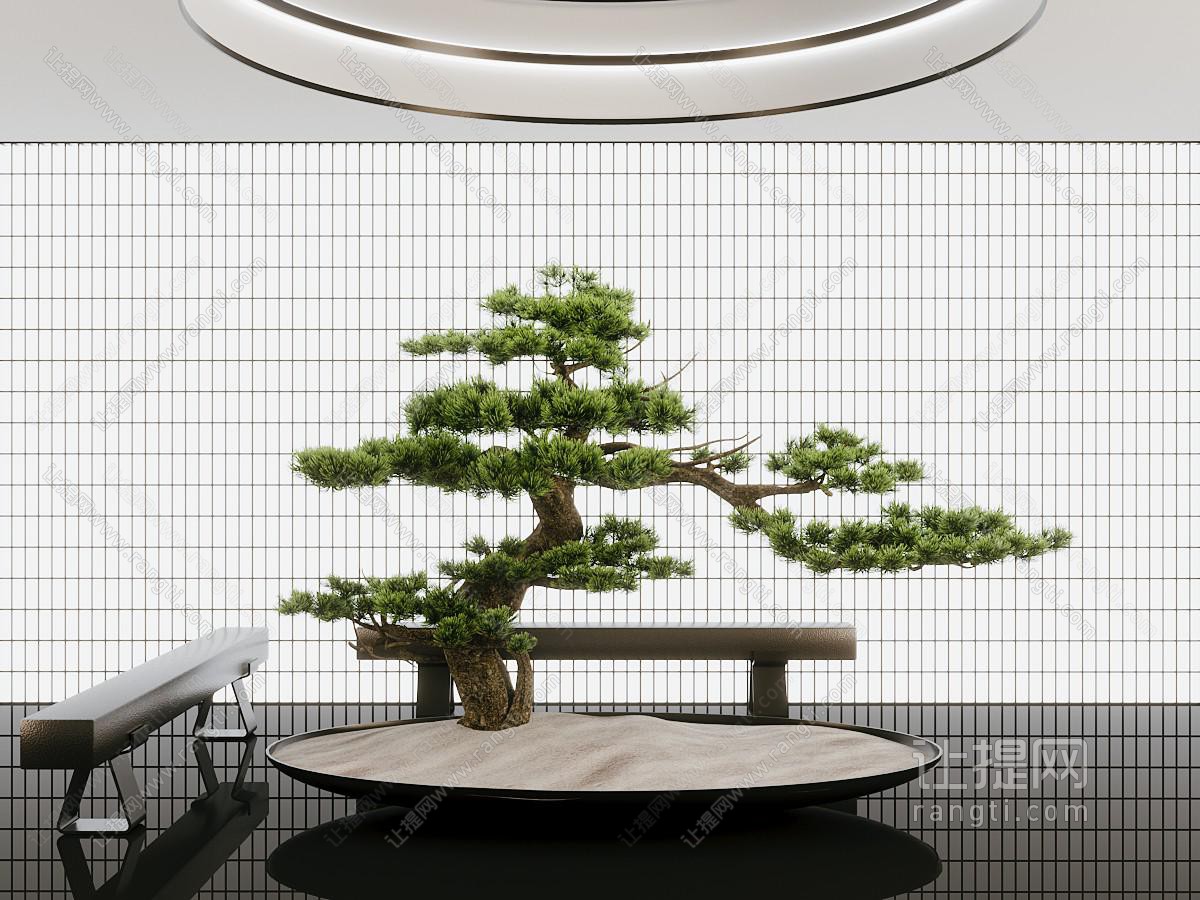 现代松树景观园艺小品