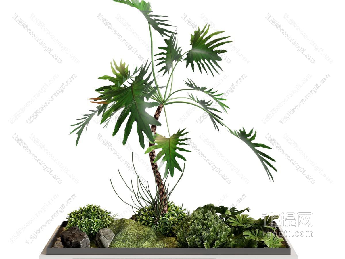 现代花草 石头景观园艺小品