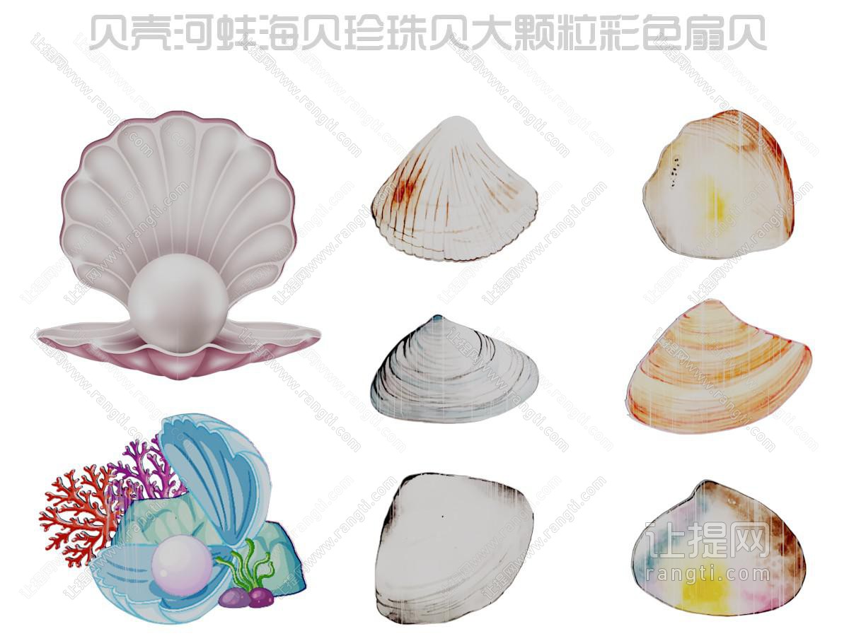 现代彩色扇贝 河蚌 珍珠贝壳墙饰 墙贴