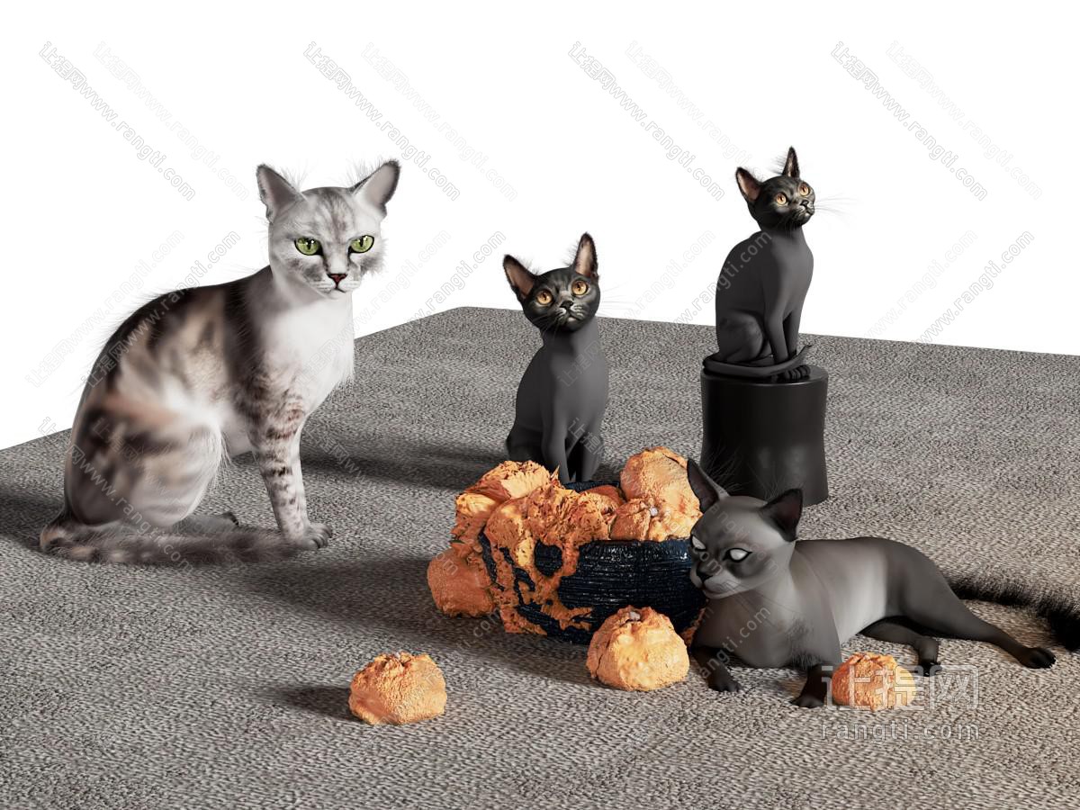 现代宠物猫咪 爬行动物