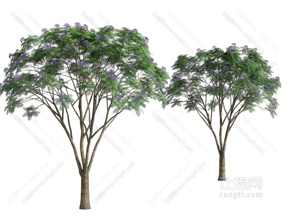现代景观树木 花树
