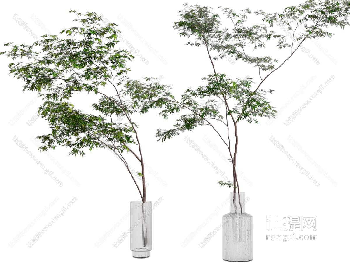现代花瓶花卉