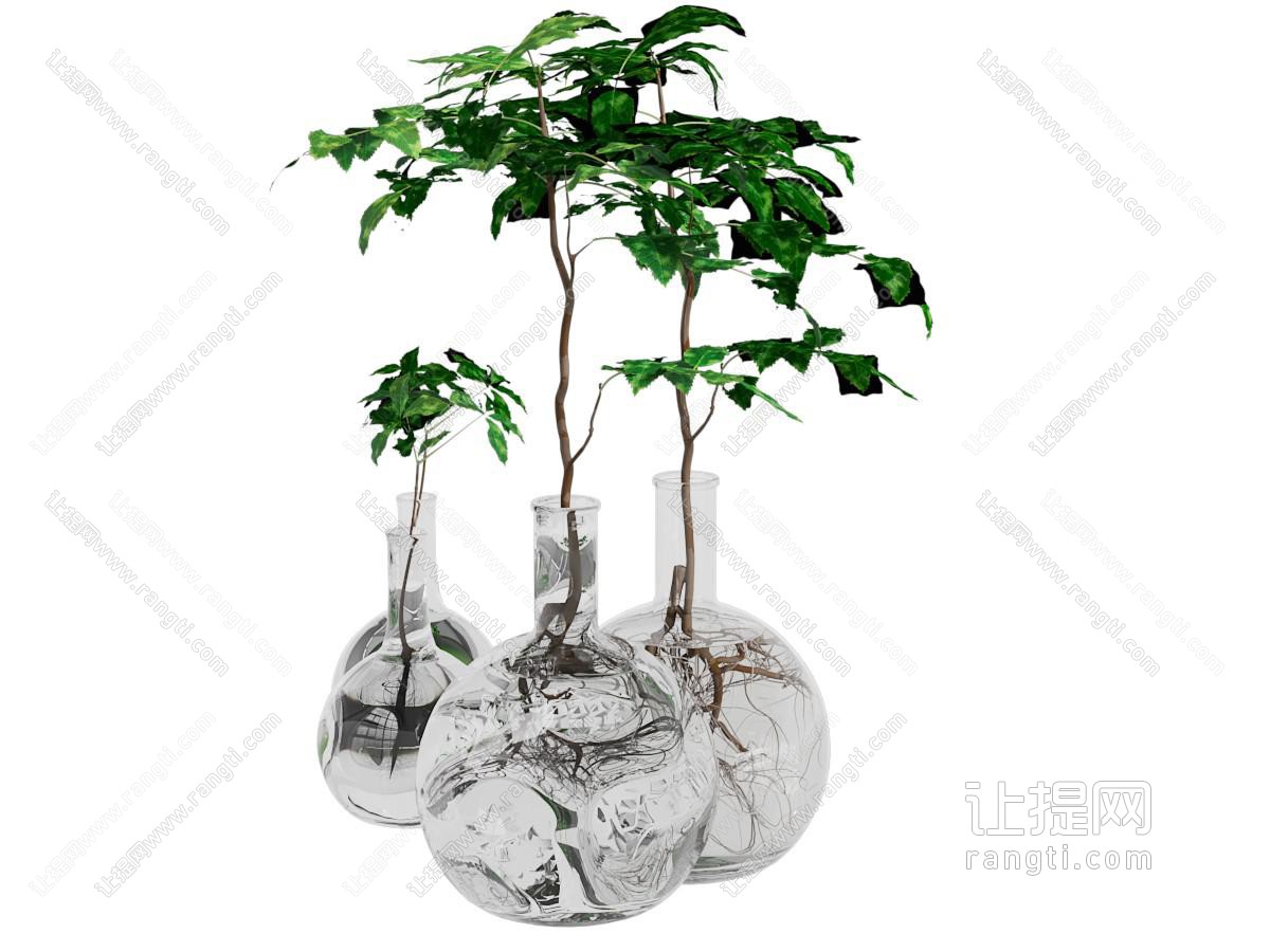 现代玻璃花瓶花卉