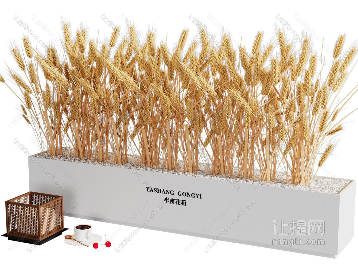 现代室内花箱 麦穗 景观园艺小品