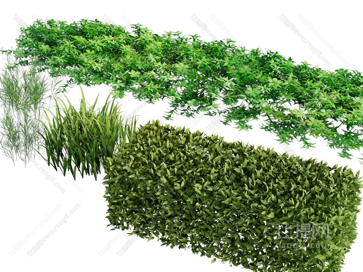 现代景观植物灌木丛 花草植物