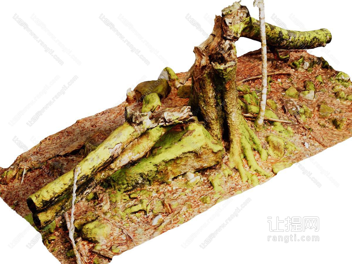现代枯树桩 烂木头 腐木