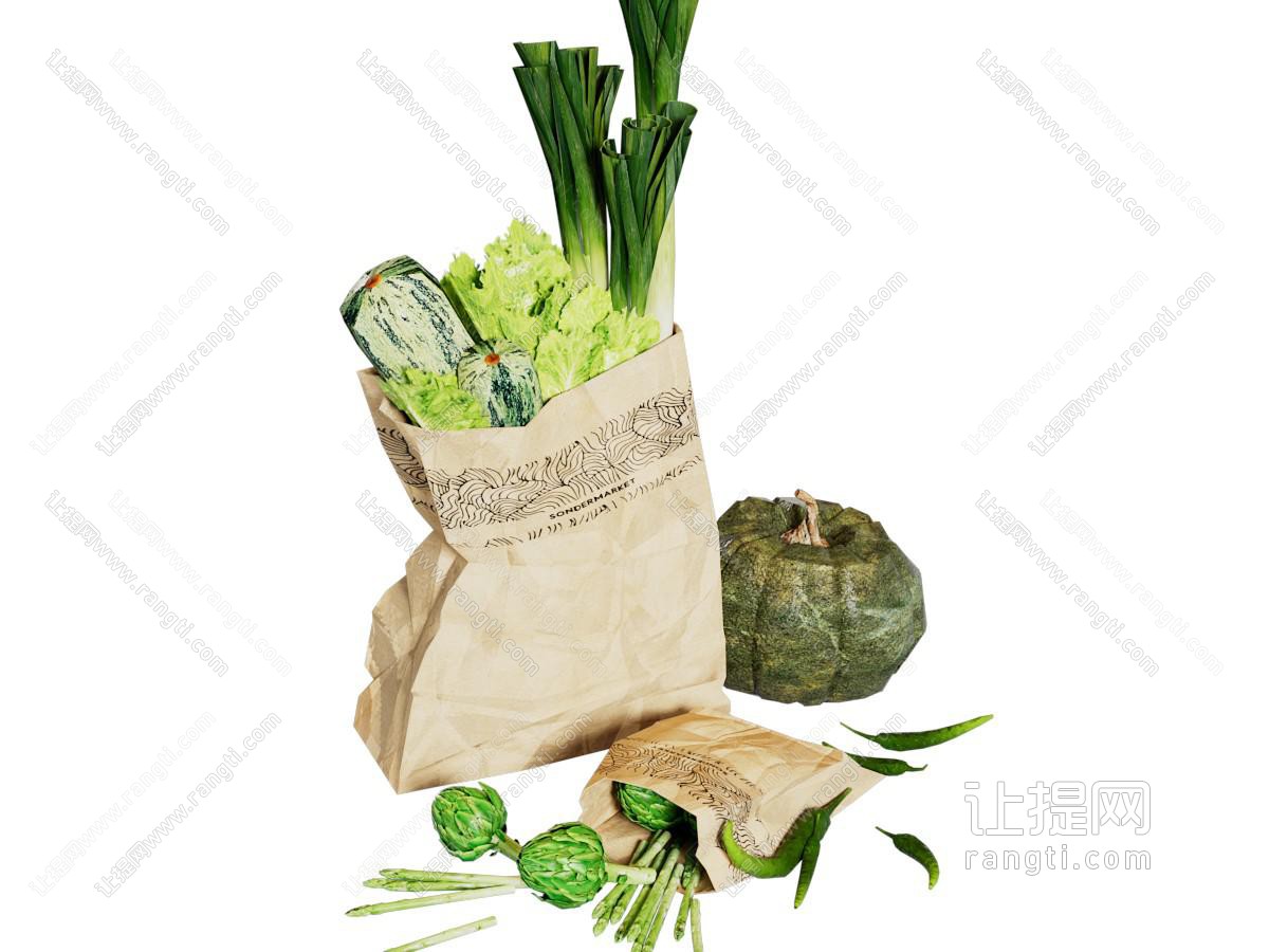 现代纸袋装的蔬菜 南瓜 大葱