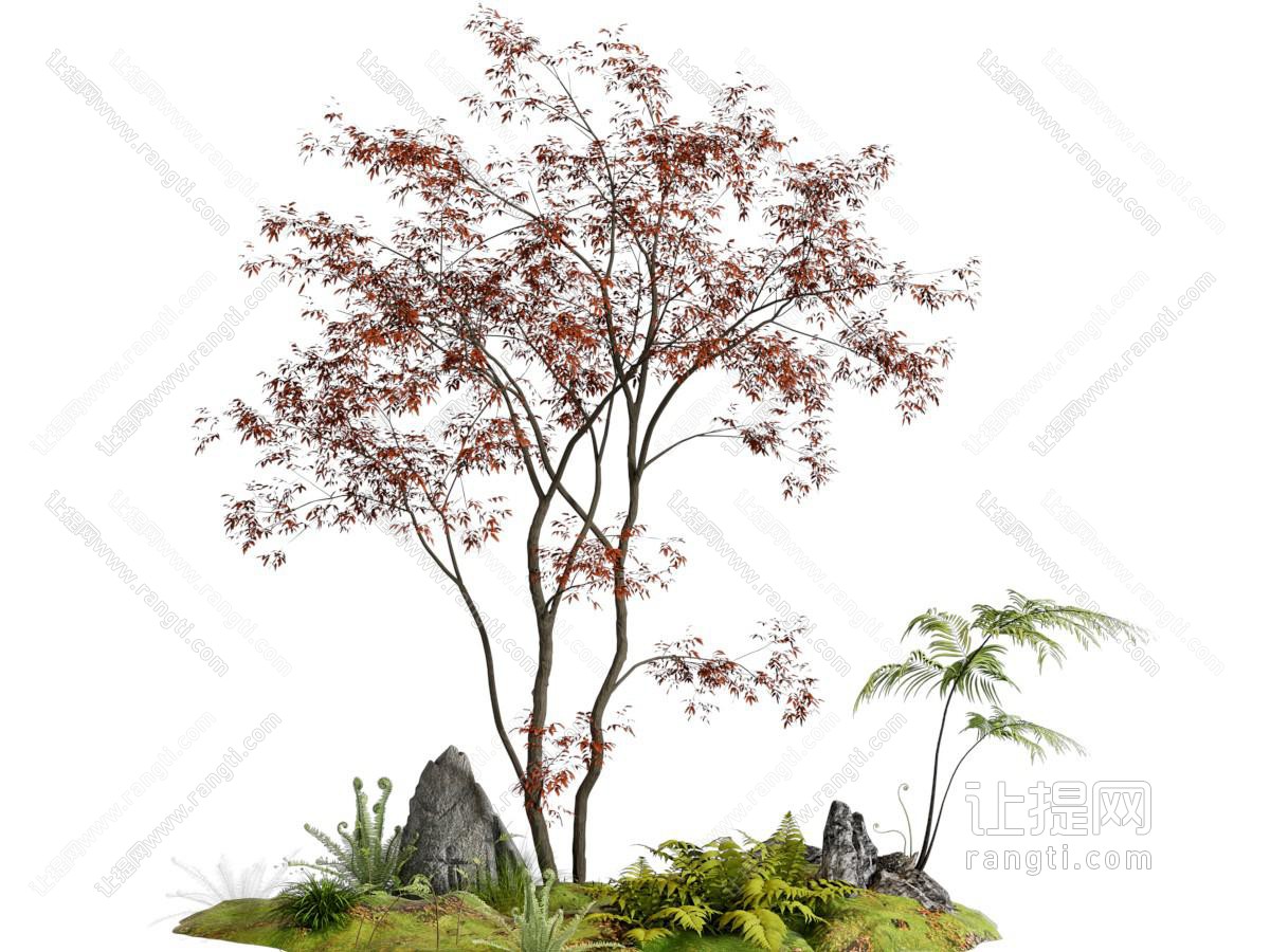 现代树木 石头 苔藓 植物 景观园艺小品