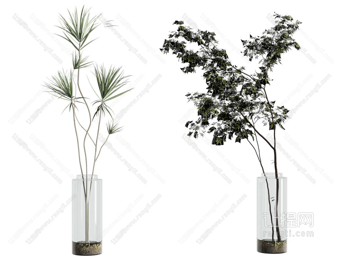 现代玻璃花瓶花卉