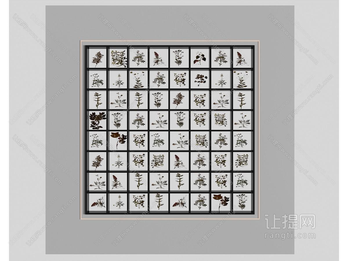 现代植物标本展示展览墙