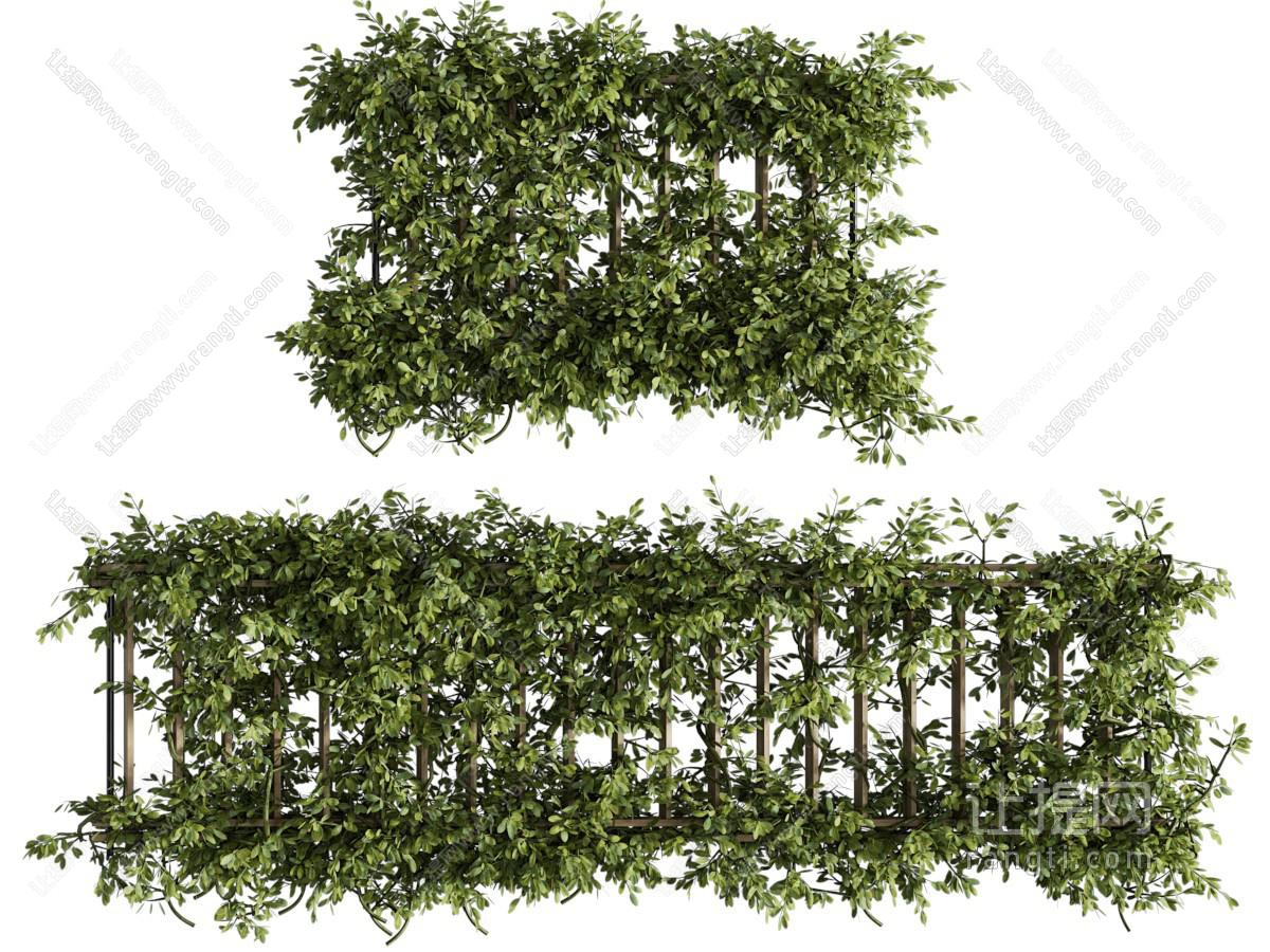 现代花架植物 藤蔓植物墙