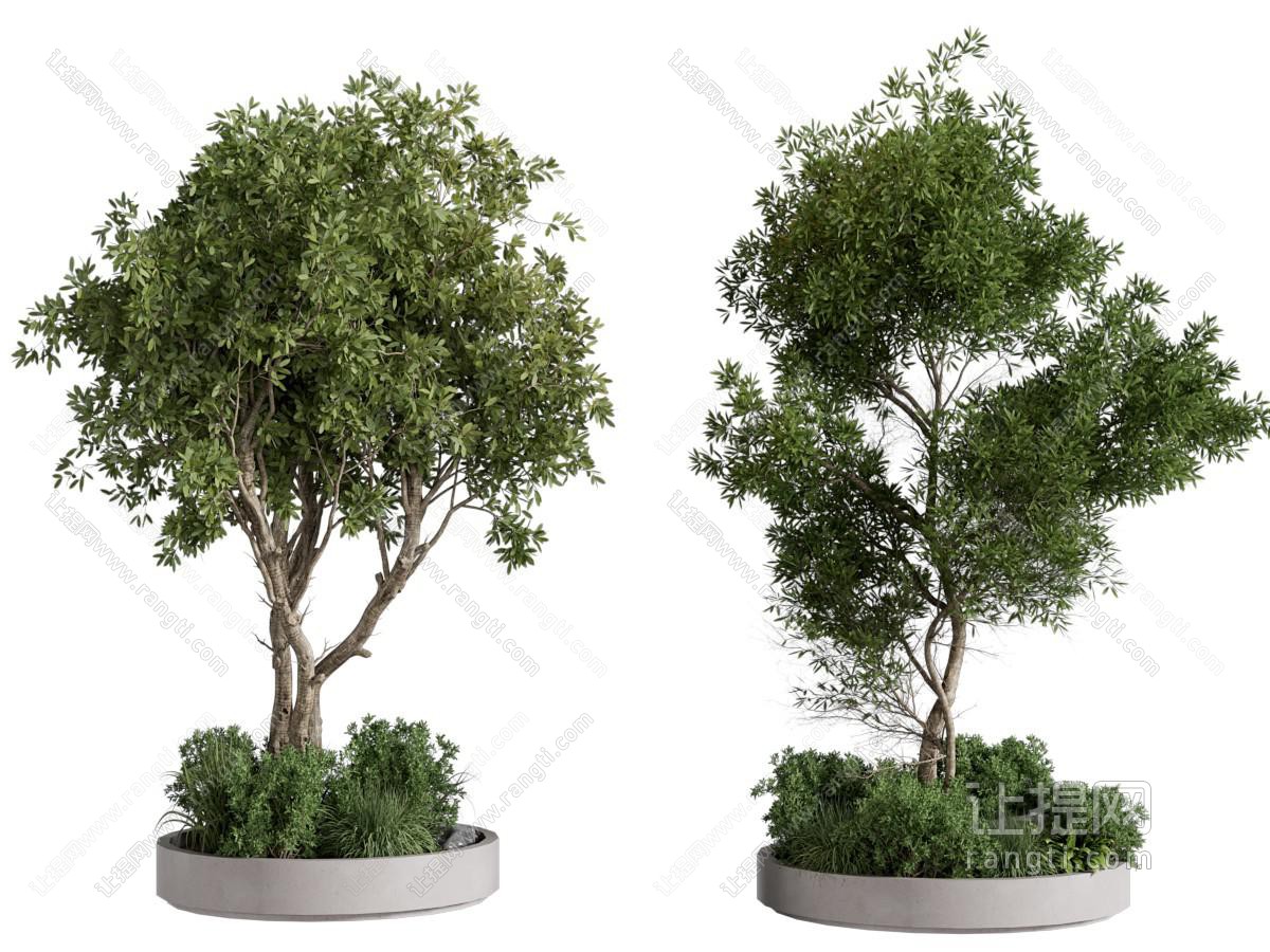 现代户外树池景观树木 园艺小品