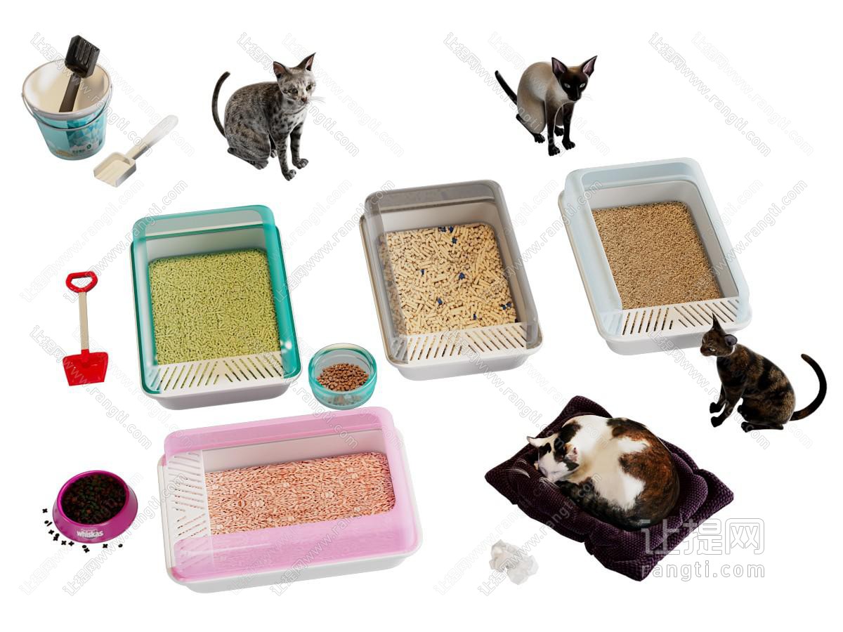 现代宠物猫 猫砂盆 猫碗 猫粮 爬行动物