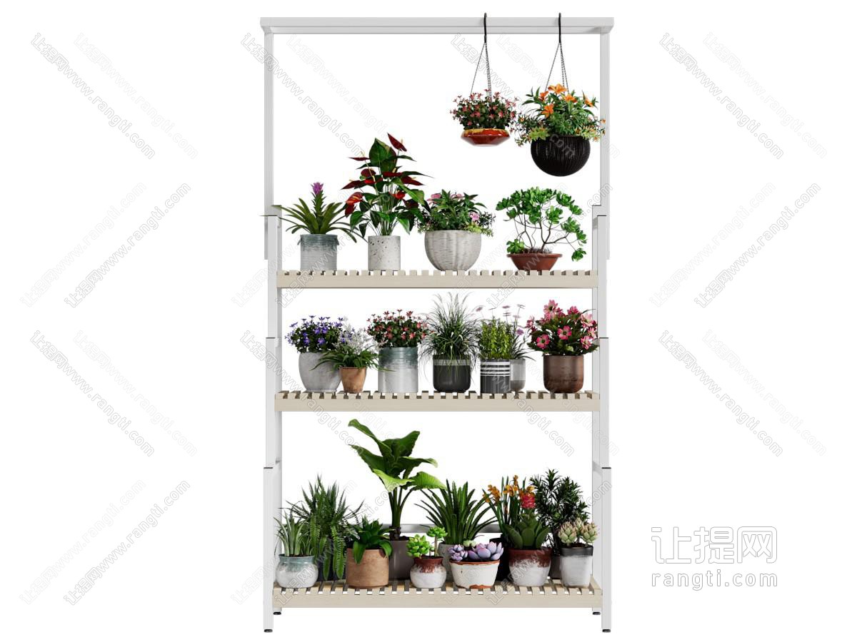 现代花架 花卉植物
