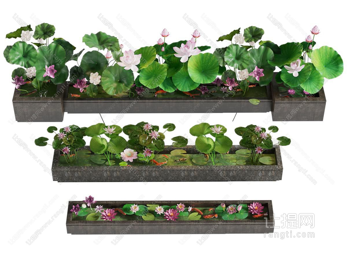 新中式花池 荷花 金鱼 景观园艺小品