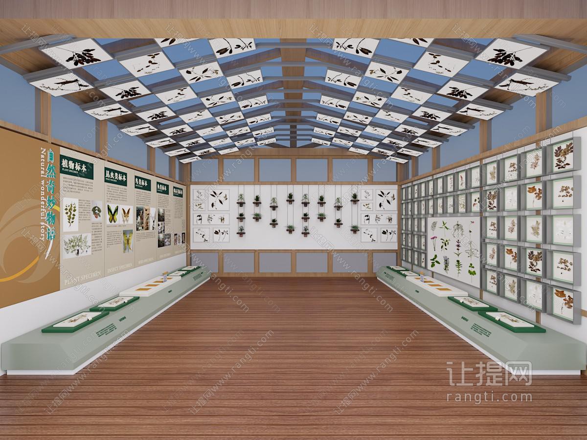 现代植物标本展厅展览