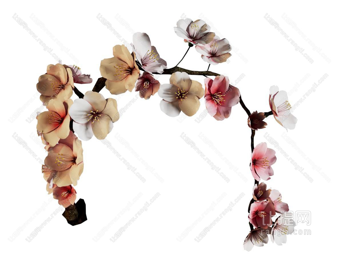 现代梅花花枝
