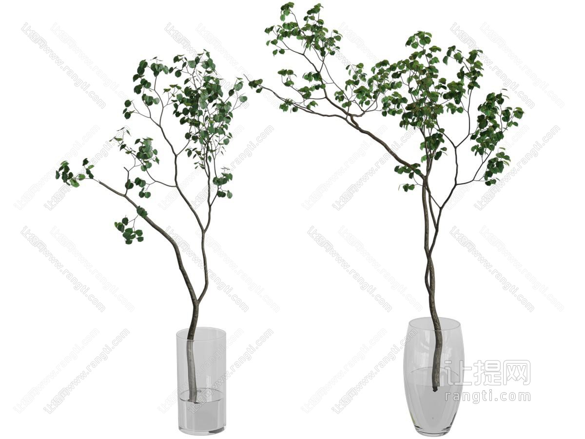 现代水生绿植 花瓶花卉