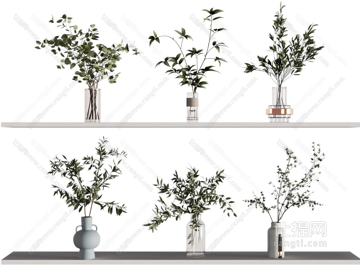 水生植物 花瓶花卉