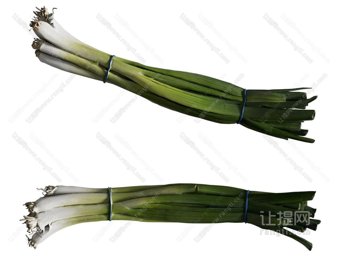 葱 蔬菜