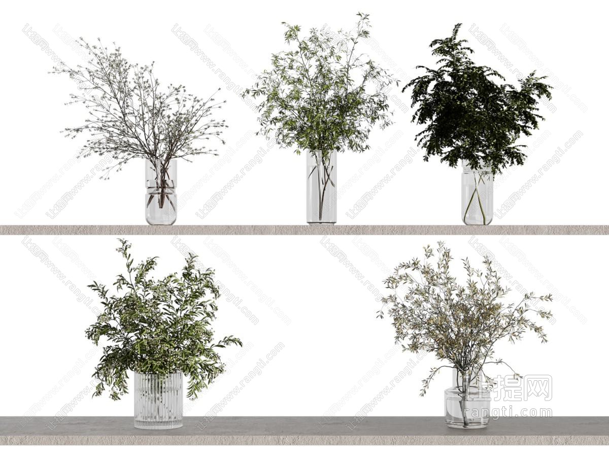 现代植物