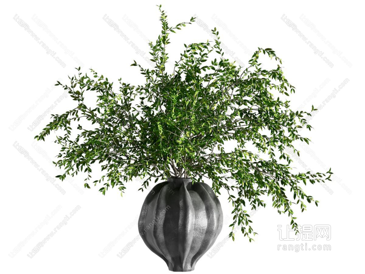 现代花瓶花卉