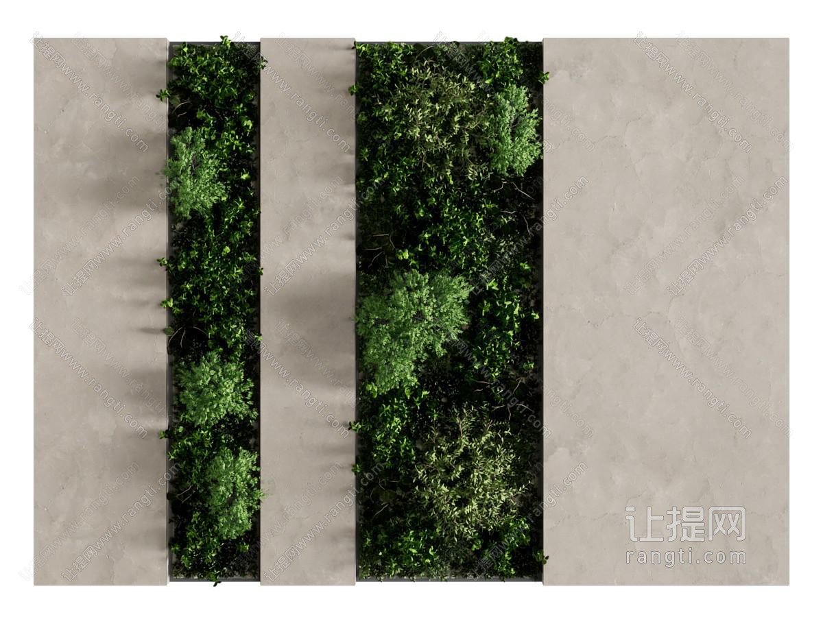 现代植物墙