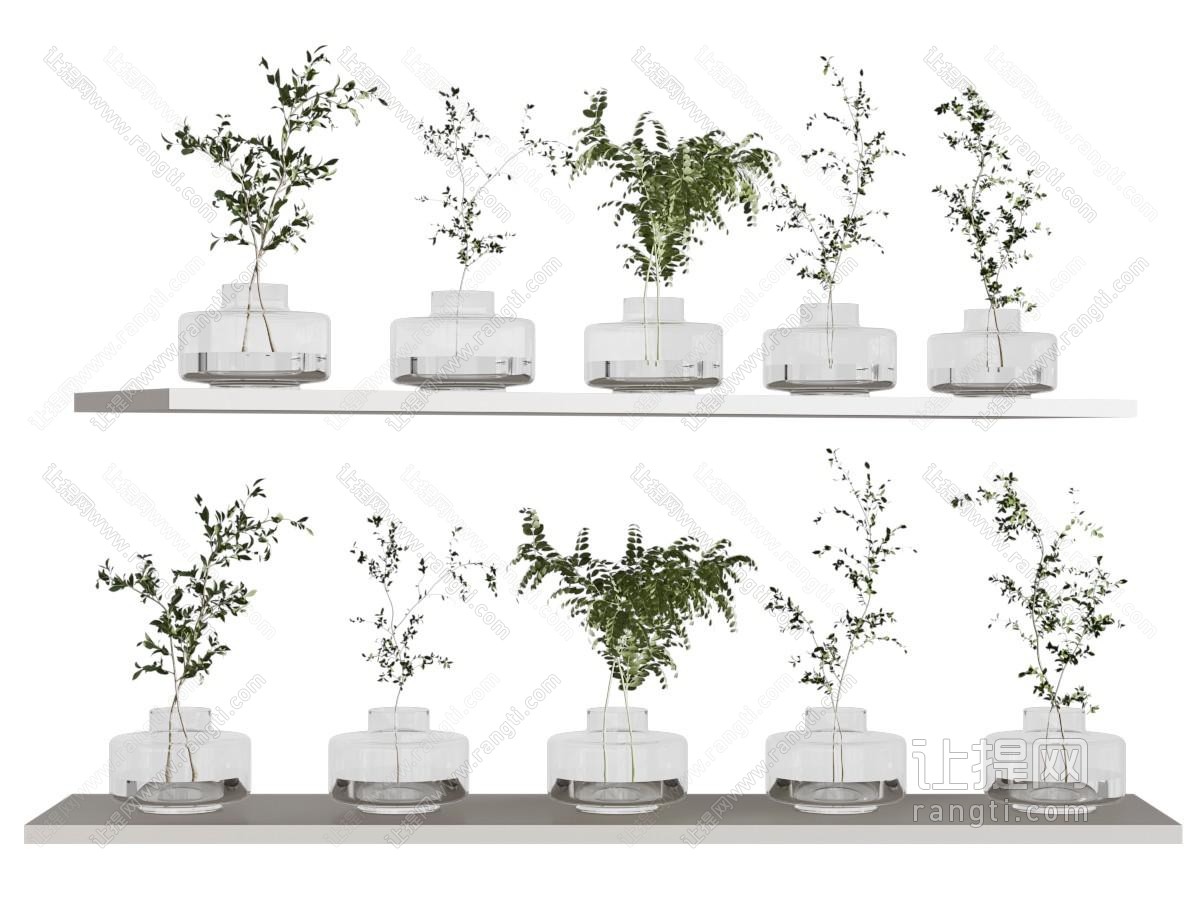 现代花瓶花艺 玻璃花瓶 水生绿植